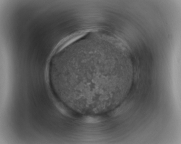 X0000114120346200910131408