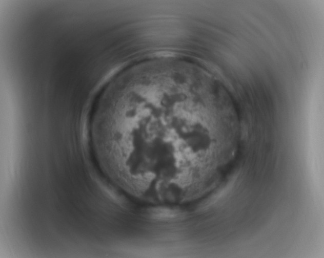 X0000114120347200910131408