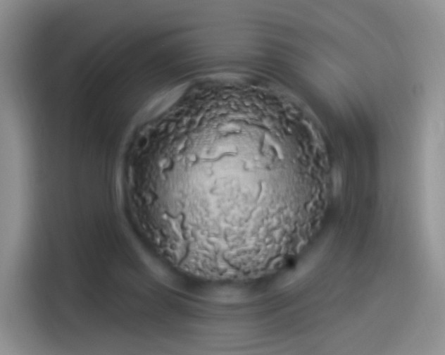 X0000114120349200910131408