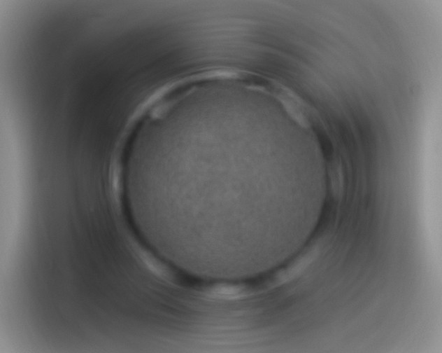 X0000114120350200910131408