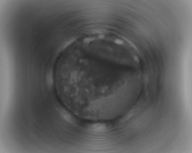 X0000114120353200910131408