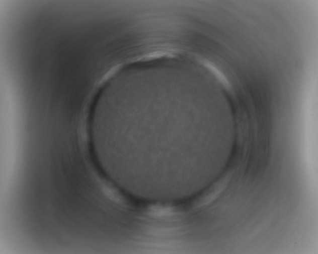 X0000114120354200910131408