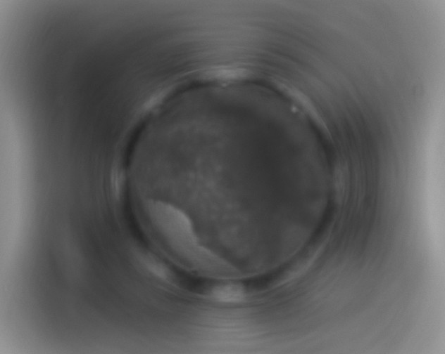 X0000114120355200910131408