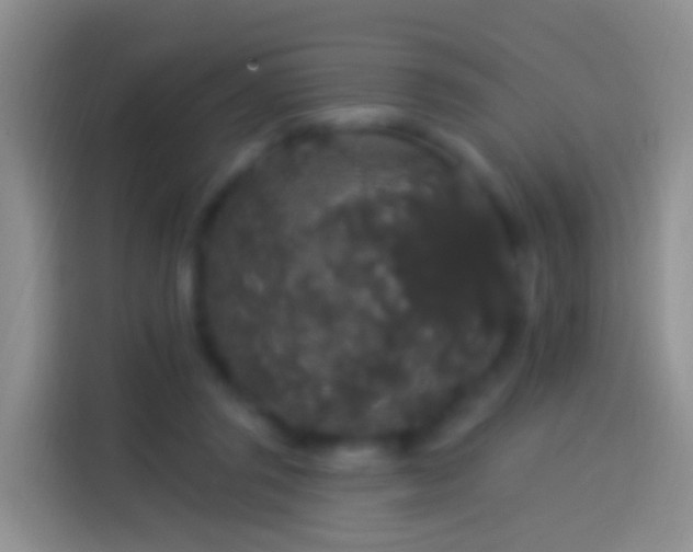 X0000114120357200910131408