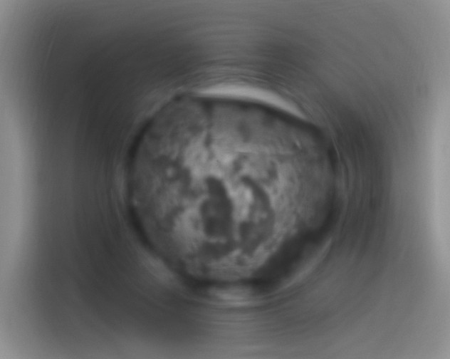 X0000114120359200910131408