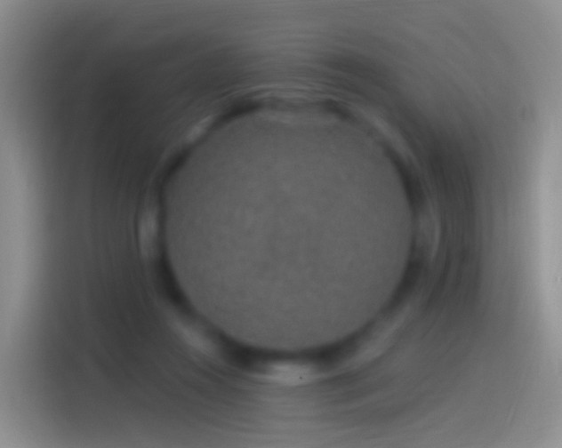 X0000114120360200910131408