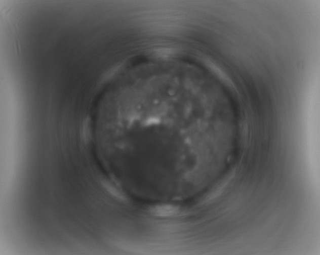 X0000114120361200910131408