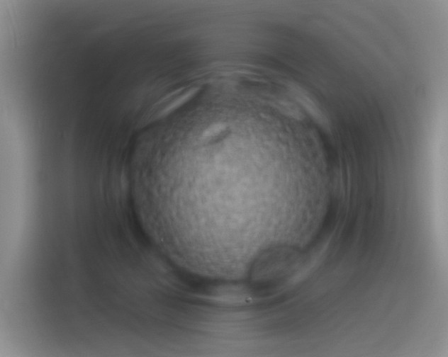 X0000114120363200910131408