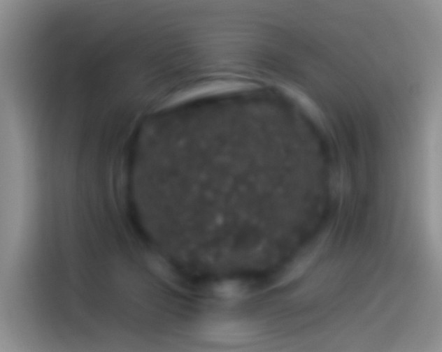 X0000114120365200910131408