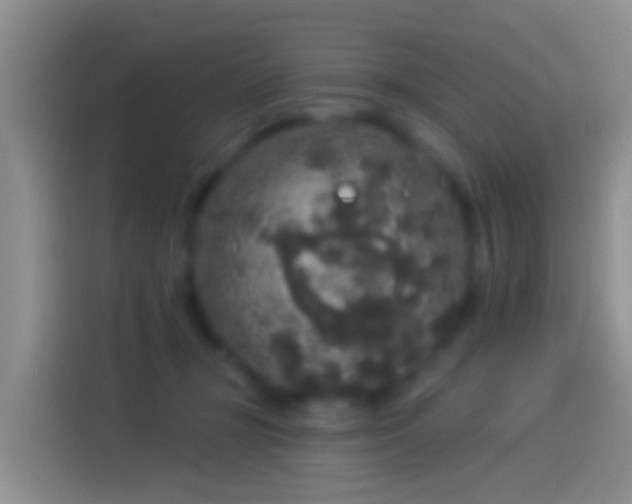 X0000114120367200910131409