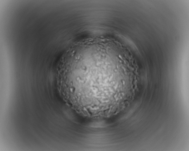 X0000114120369200910131409