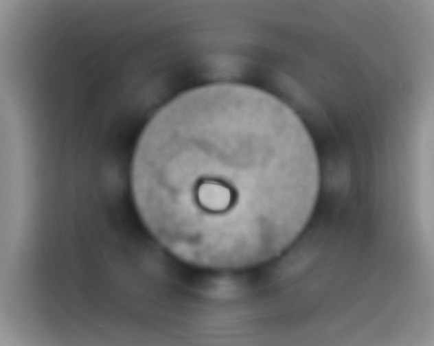 X0000114120370200910131409