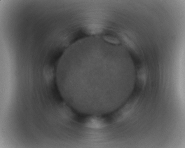 X0000114120372200910131409