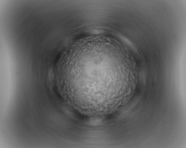 X0000114120373200910131409