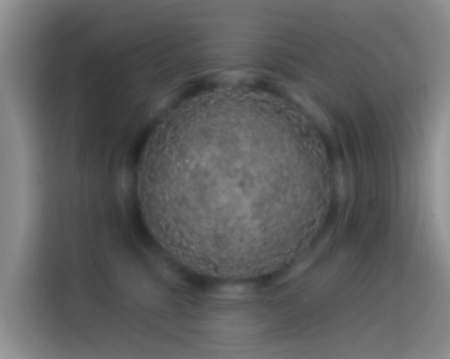 X0000114120375200910131409