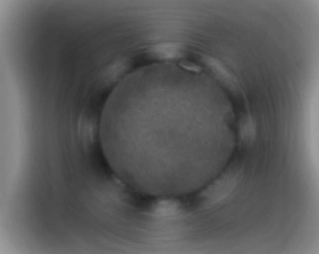 X0000114120376200910131409