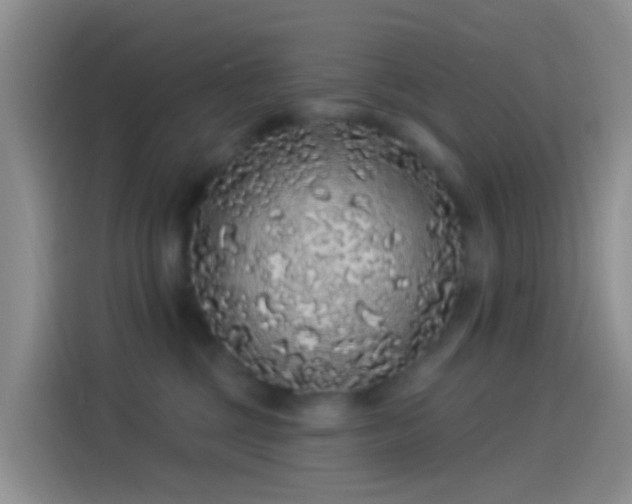 X0000114120377200910131409