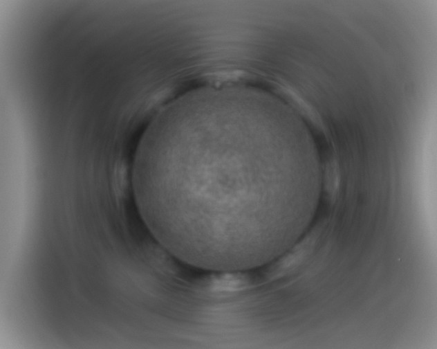 X0000114120378200910131409