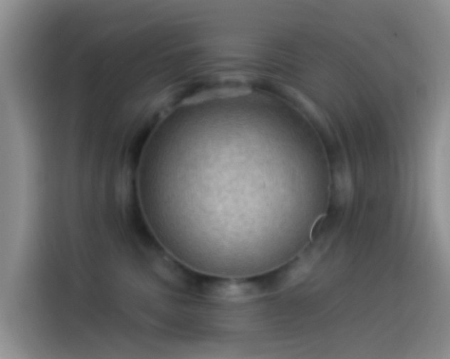 X0000114120379200910131409