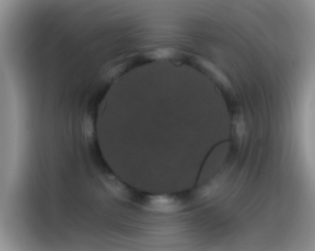 X0000114120380200910131409