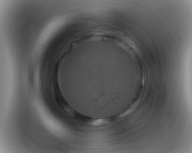 X0000114120382200910131409