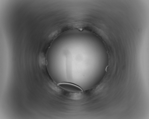 X0000114120384200910131409