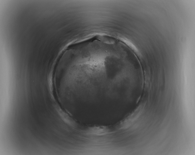 X0000114120386200910131408