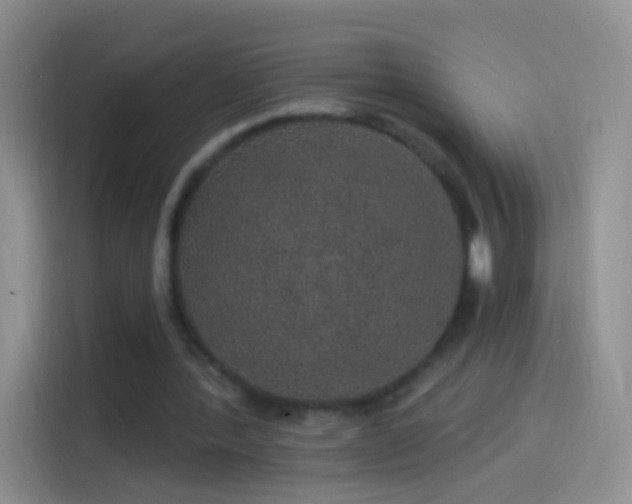 X0000114120388200910131408