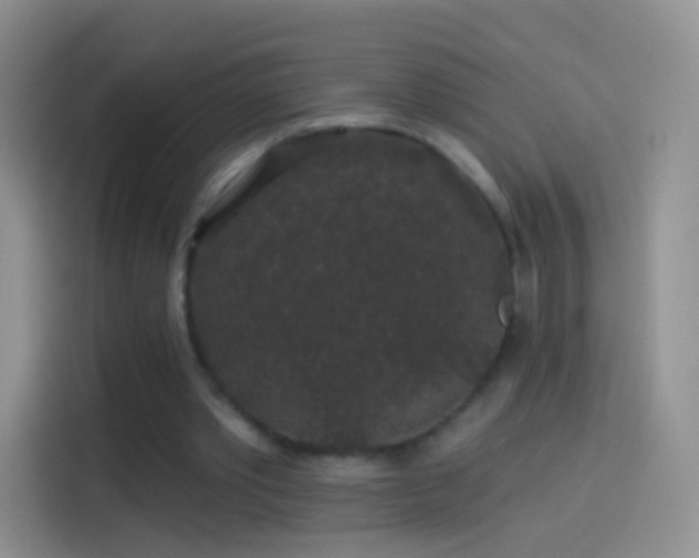 X0000114120389200910131408