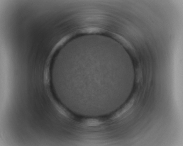 X0000114120392200910131408