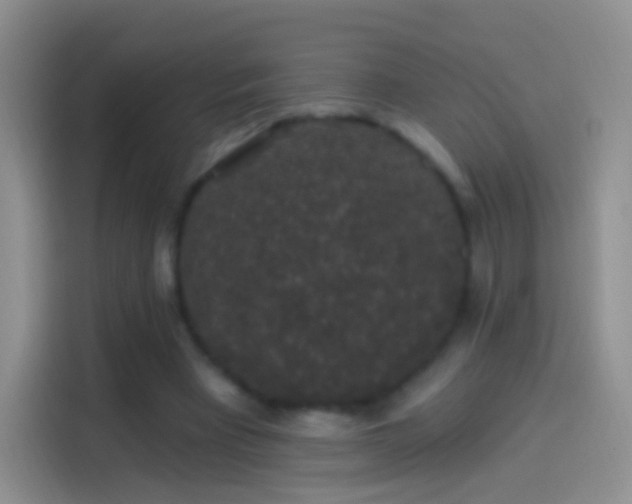 X0000114120393200910131408