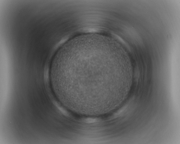 X0000114120394200910131408