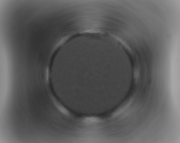 X0000114120397200910131408