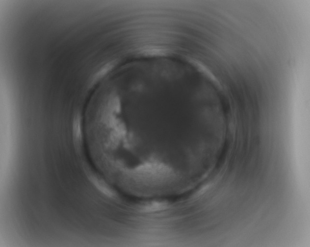 X0000114120398200910131408