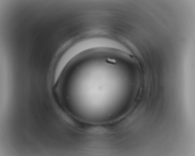 X0000114120399200910131408