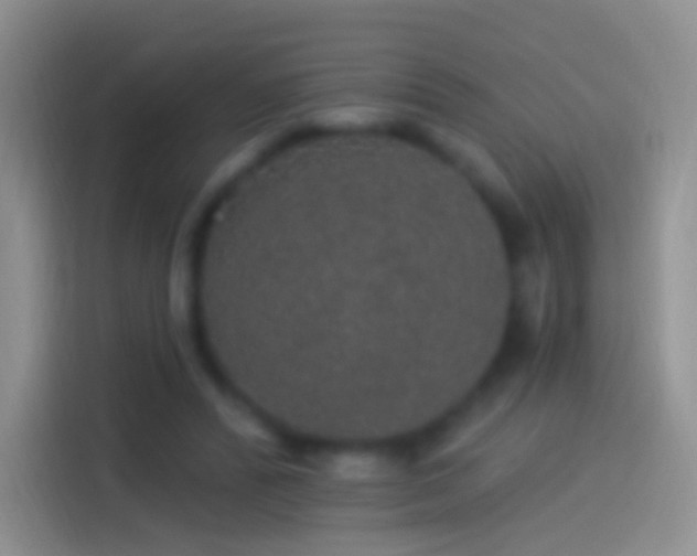 X0000114120400200910131408