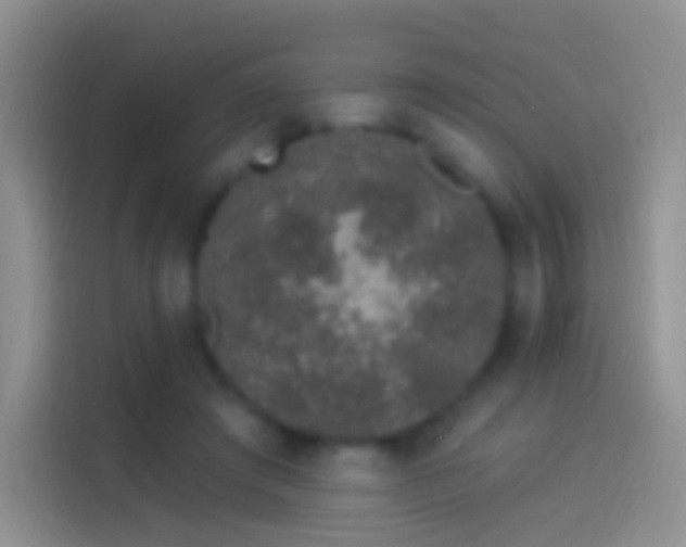 X0000114120401200910131408