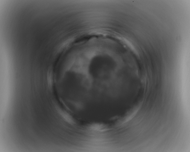 X0000114120402200910131408