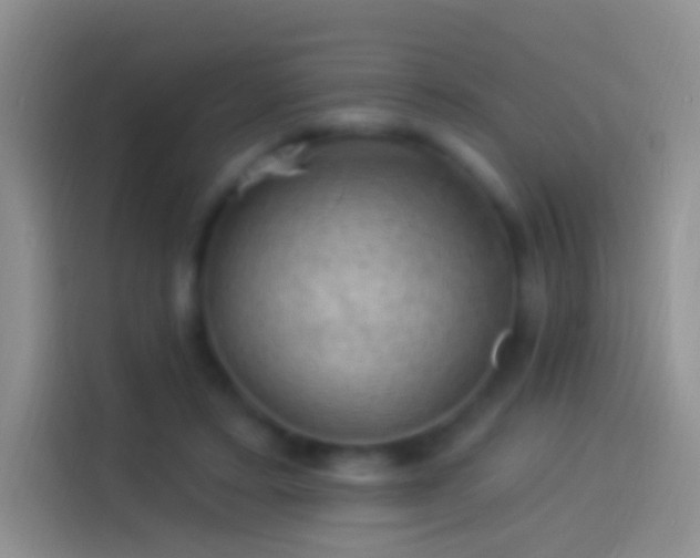 X0000114120403200910131408