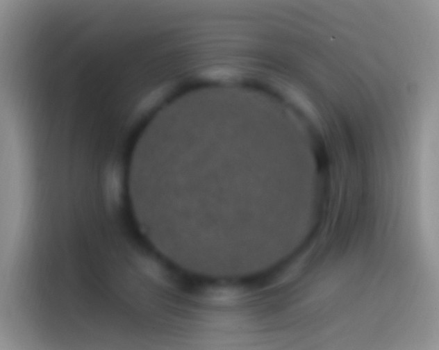 X0000114120404200910131408