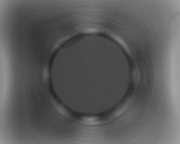 X0000114120407200910131408