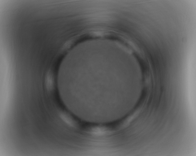 X0000114120408200910131408