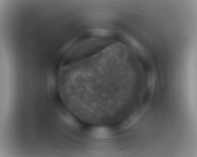 X0000114120409200910131408