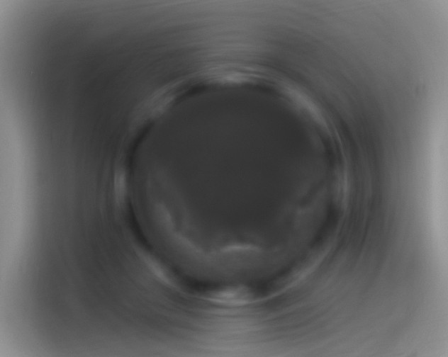 X0000114120410200910131408