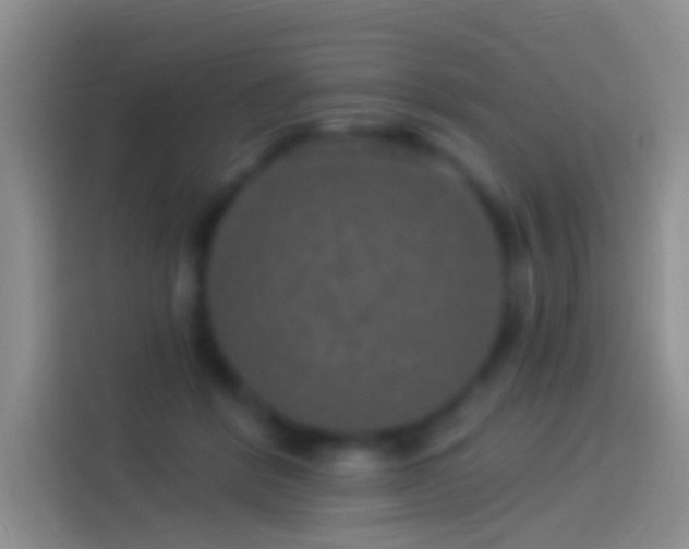 X0000114120412200910131408