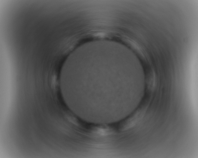 X0000114120420200910131408