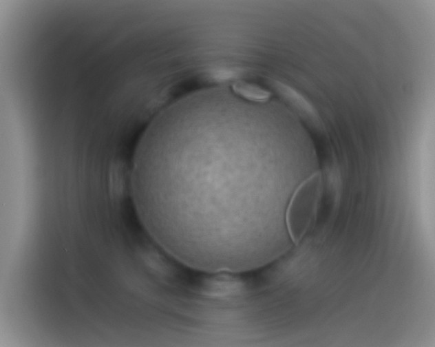 X0000114120421200910131408