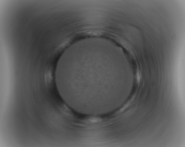 X0000114120424200910131408