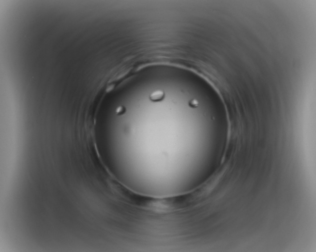 X0000114120425200910131407