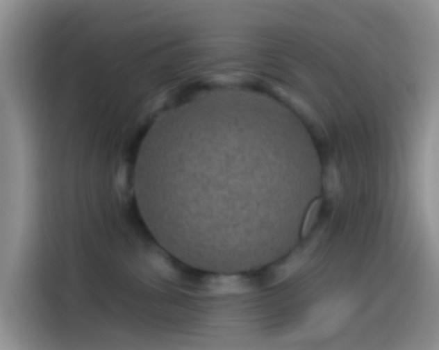 X0000114120428200910131407